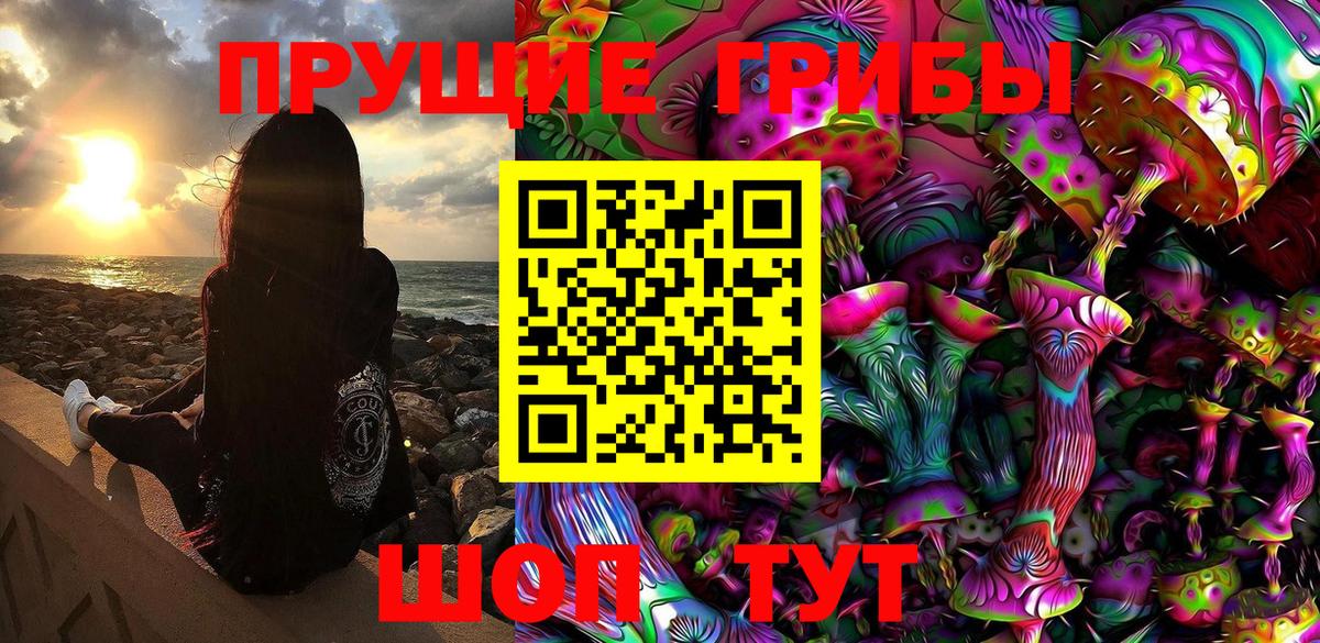 Псилоцибиновые грибы Psilocybine cubensis Черняховск