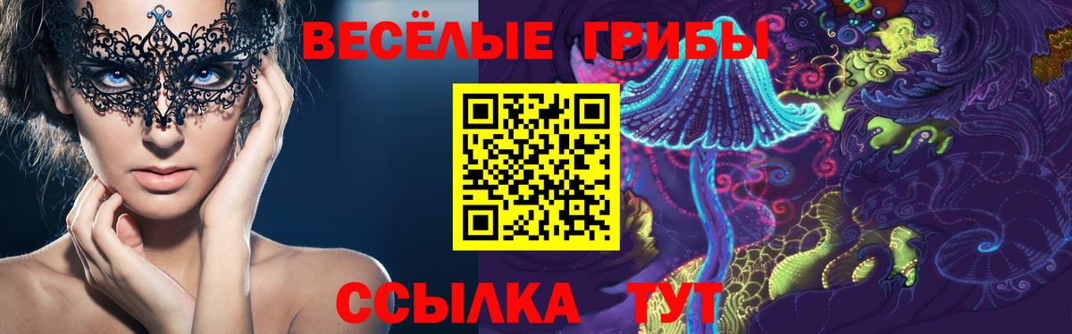 Псилоцибиновые грибы Psilocybine cubensis  Псилоцибиновые грибы мицелий  закладка  Вход с VPN  Черняховск 